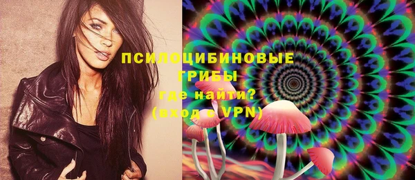 МДПВ Алексин