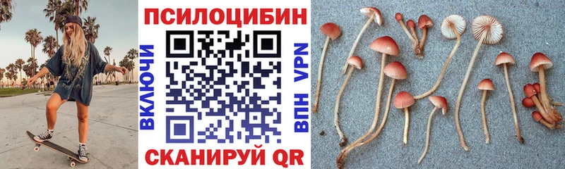Псилоцибиновые грибы Psilocybine cubensis  купить наркотики цена  Пущино 